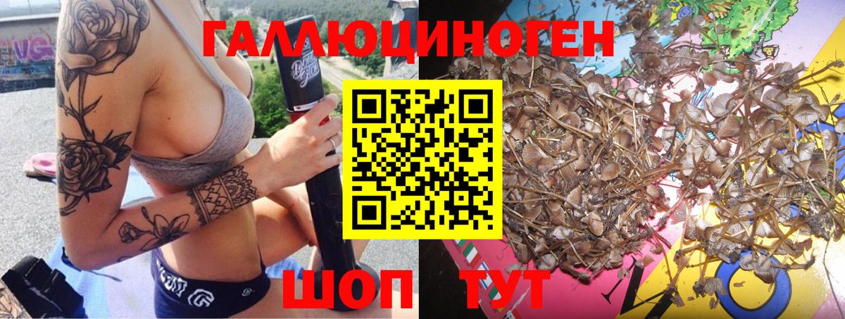 Галлюциногенные грибы MAGIC MUSHROOMS Сертолово