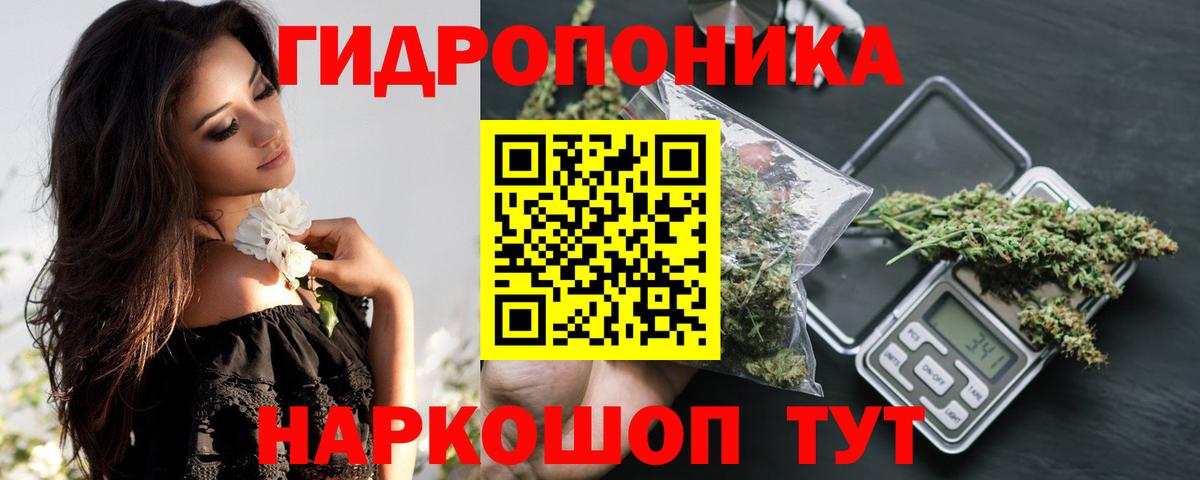 Канабис планчик Сертолово